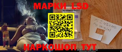 spice Камышлов