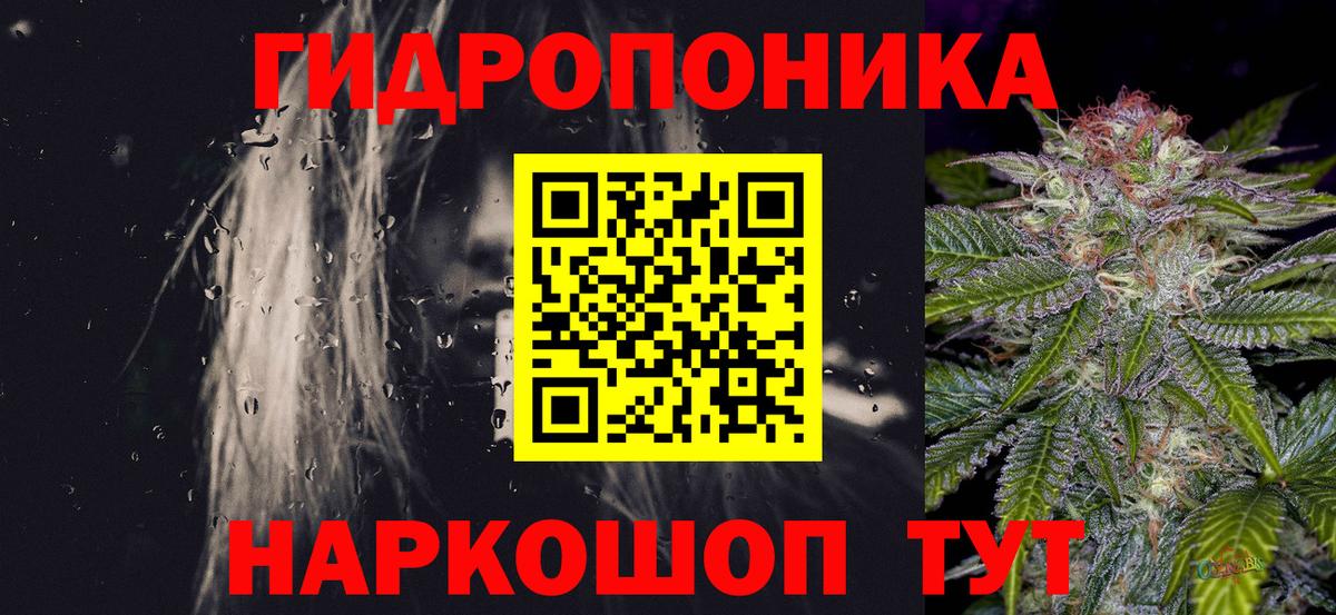 Бошки марихуана Ganja Кызыл